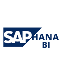 SAP HANA BI Development Image