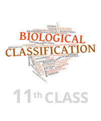 Class 11th Biological Classification Image