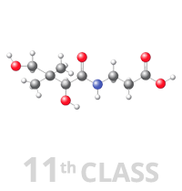 Class 11th - Biomolecules Image