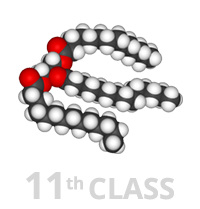 Class 11th - Lipids Image