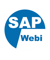 SAP Webi Online Training Image