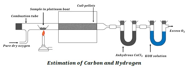 Estimation of Carbon and Hydrogen