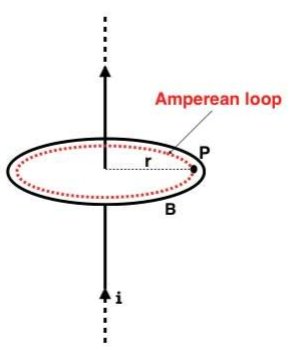 Amperean Loop