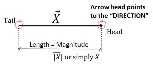 Arrow head Direction