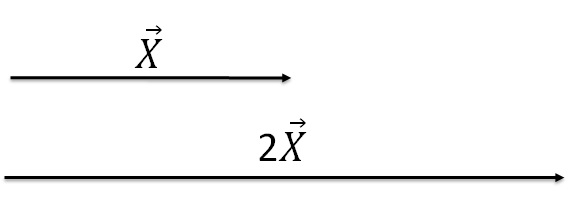 Multiplication Scalar Vector
