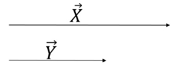 Parallel Vector