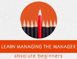 Managing the Manager Tutorial
