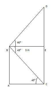 Height & Distance Solution 14