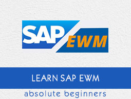 SAP EWM Tutorial