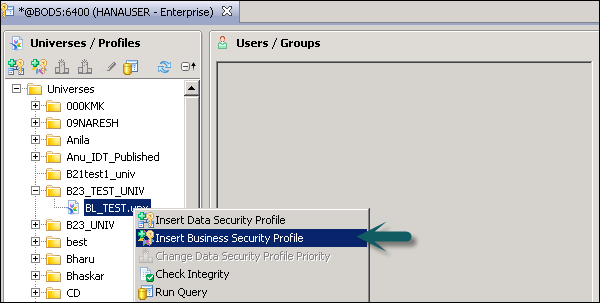 Insert Business Security Profile