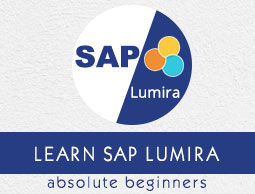 SAP Lumira Tutorial